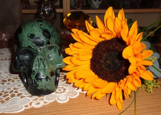 Kambaba Jaspis Kristallschädel 1,65 kg Kambaba Jaspis Kristallschädel 1,65 kg Sonnenblume