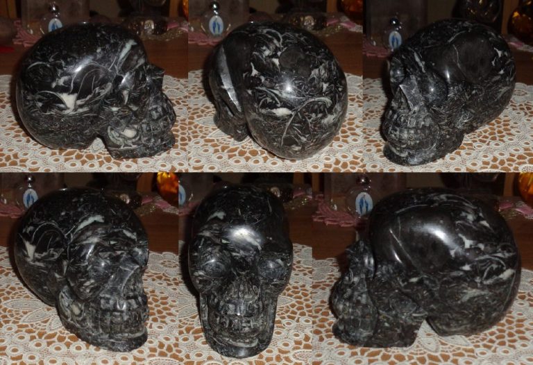 Muschelfossiljaspis Kristallschädel 2,37 kg Drittes Auge Muschelfossiljaspis Kristallschädel 2,37 kg Drittes Auge