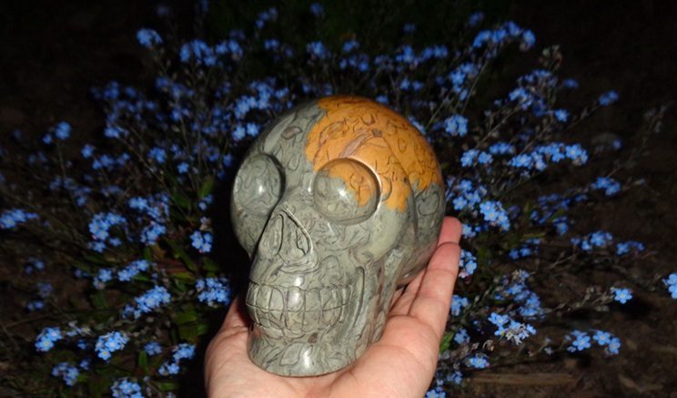 Fossiljaspis Kristallschädel 1,45 kg kaufen