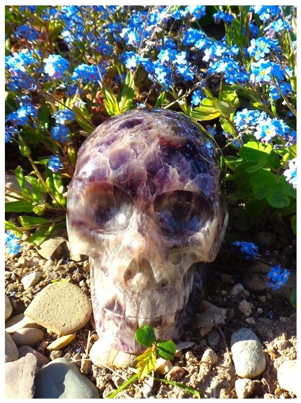 großer Kristallschädel Leoparden Chevron Amethyst Helaria